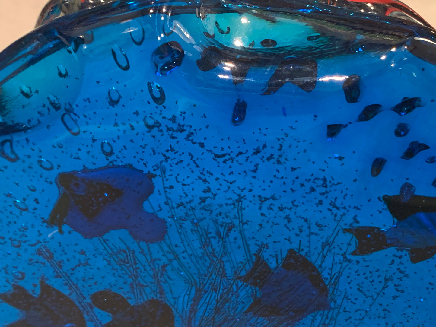 Acquario Eugenio Ferro